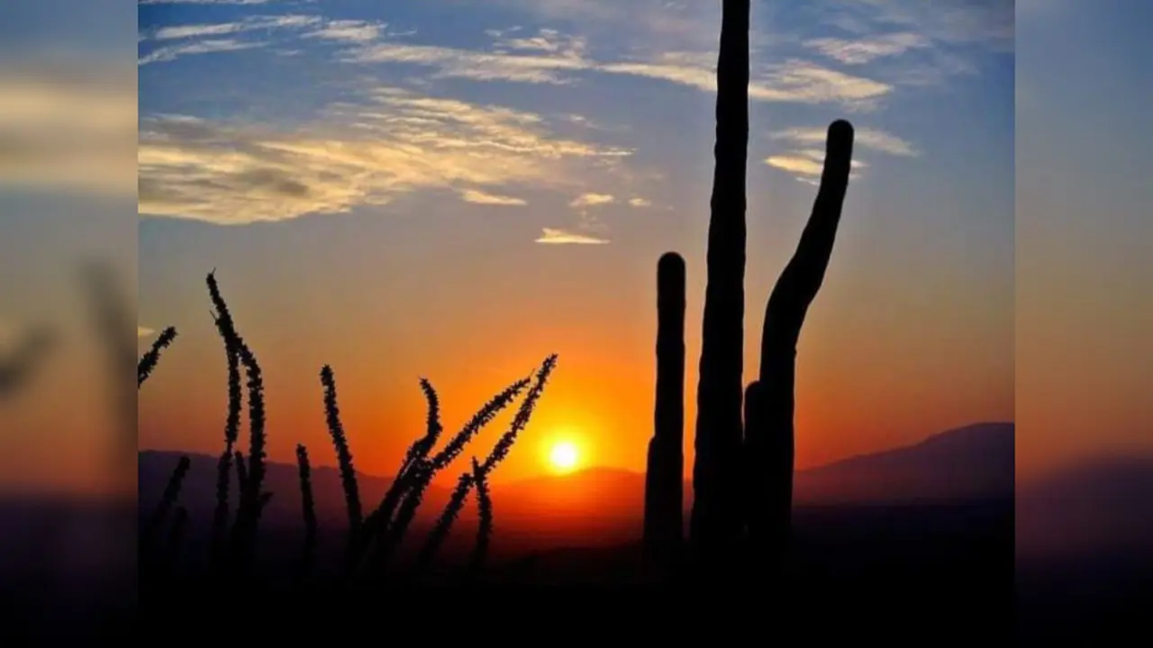 ¿Conoces la Zona del Silencio? Un lugar enigmático en el desierto