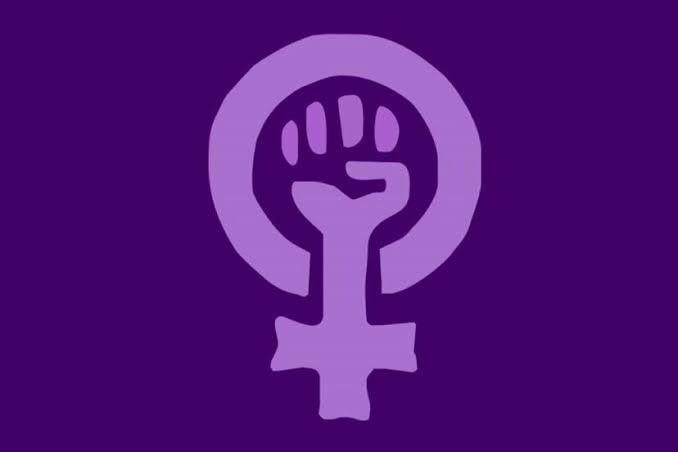 La iniciativa fue promovida por organismos feministas Foto: Ilustrativa