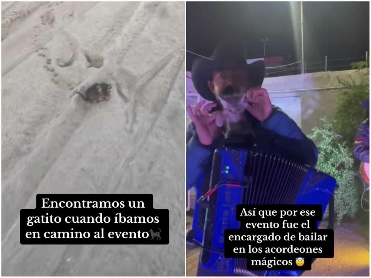 Este emotivo gesto ha conmovido a miles de personas en las redes sociales. Foto: Tiktok.