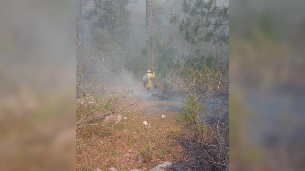 Continúa combate del incendio en el Cañón del Novillo