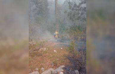 Continúa combate del incendio en el Cañón del Novillo