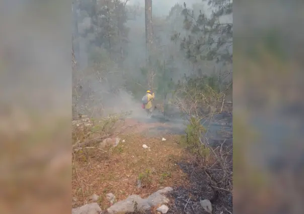 Continúa combate del incendio en el Cañón del Novillo