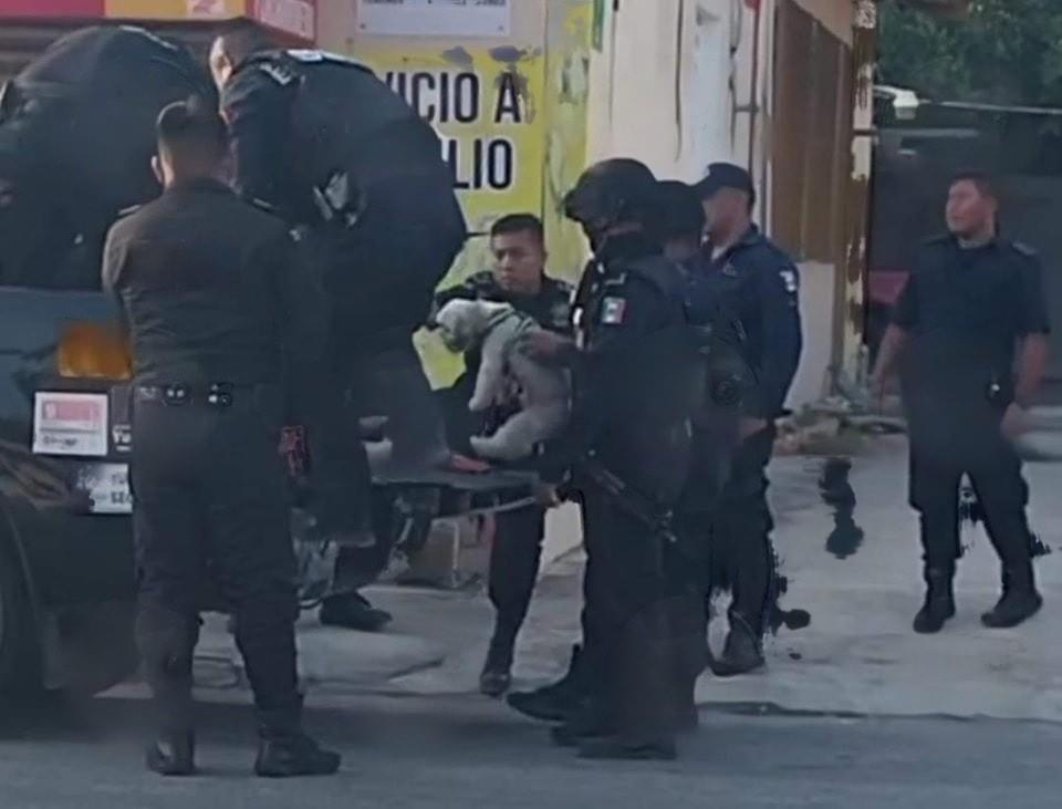 Inusual arresto en Progreso: Se lo lleva la policía con todo y perro