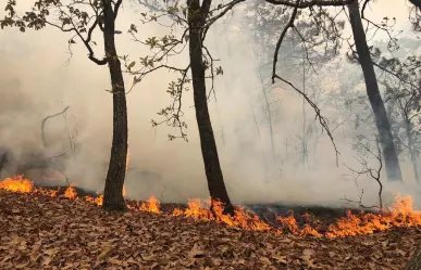 El fuego no da tregua, sin control once incendios forestales en Edomex