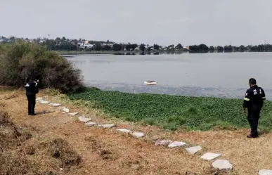 Vigila SSEM la laguna La Piedad por presencia de cocodrilo (VIDEO)