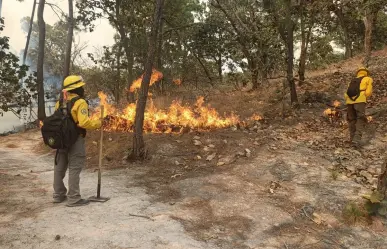 Liquidan 14 incendios en Edomex; cinco continúan en combate