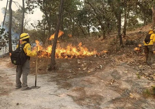 Liquidan 14 incendios en Edomex; cinco continúan en combate