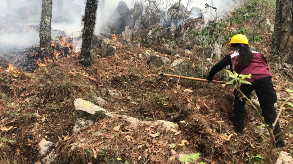 Plan Tamaulipas en acción: Combate al incendio forestal en La Chona continúa