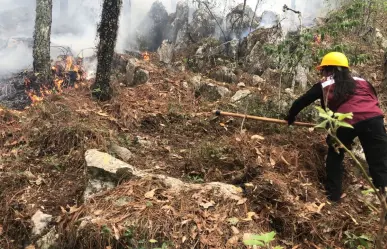 Plan Tamaulipas en acción: Combate al incendio forestal en La Chona continúa