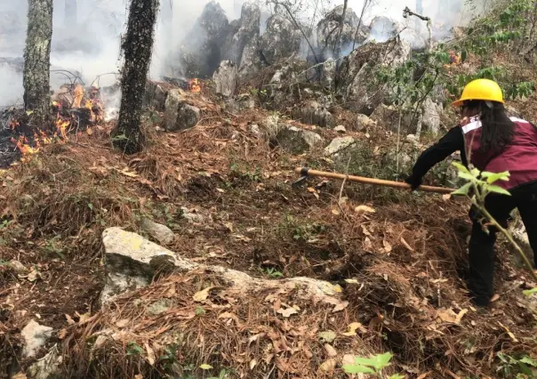 Plan Tamaulipas en acción: Combate al incendio forestal en La Chona continúa