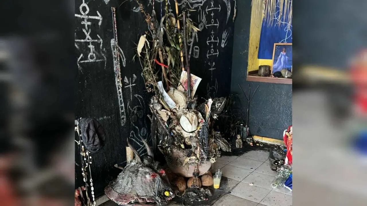 Catean casa por maltrato animal, hallan armas y droga en Neza
