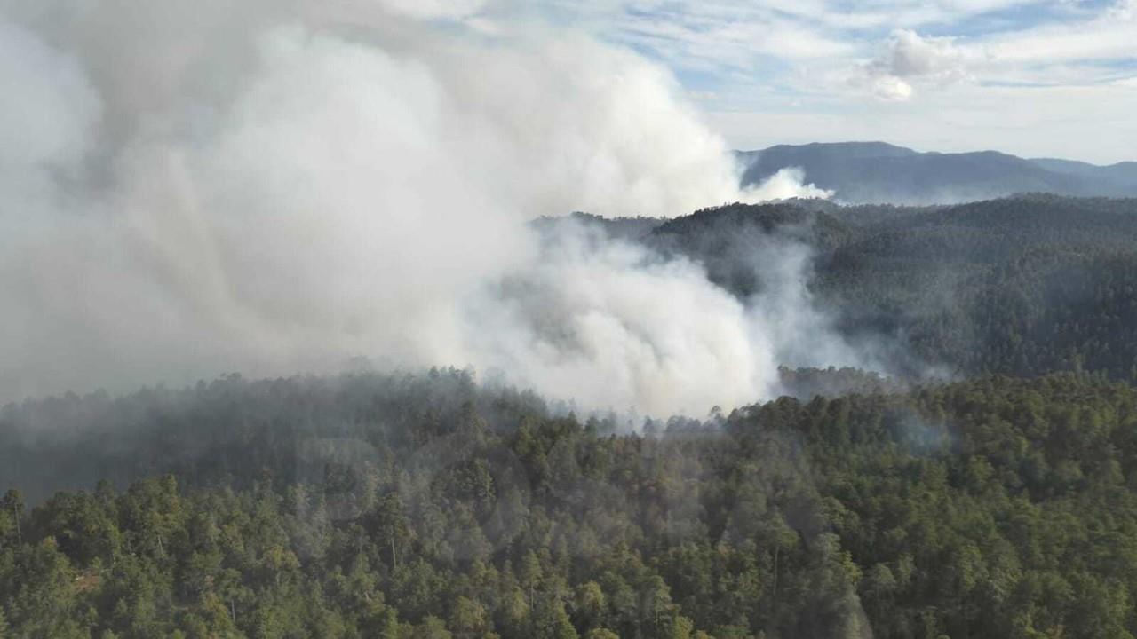 Más de 150 brigadistas se encuentran combatiendo el incendio forestal en San Dimas. Foto y vídeo: Jesús Carrillo.