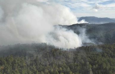 Arrasa incendio con miles de hectáreas en San Dimas