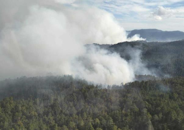 Arrasa incendio con miles de hectáreas en San Dimas