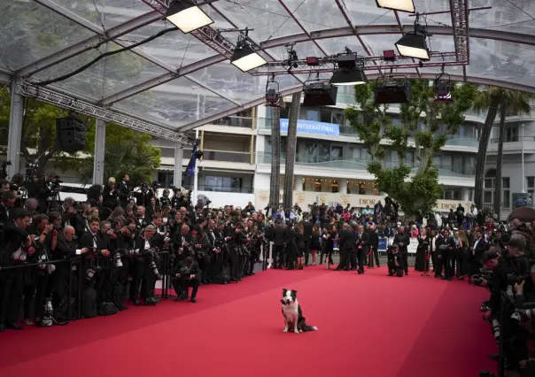 Messi llega a Cannes