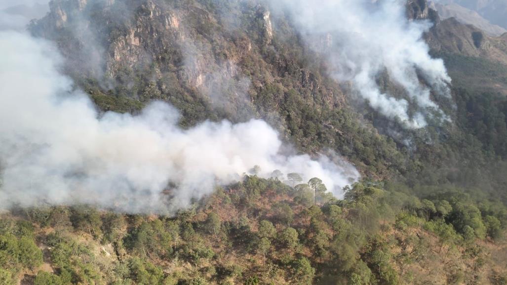 Hay 6 incendios activos en la sierra de Durango