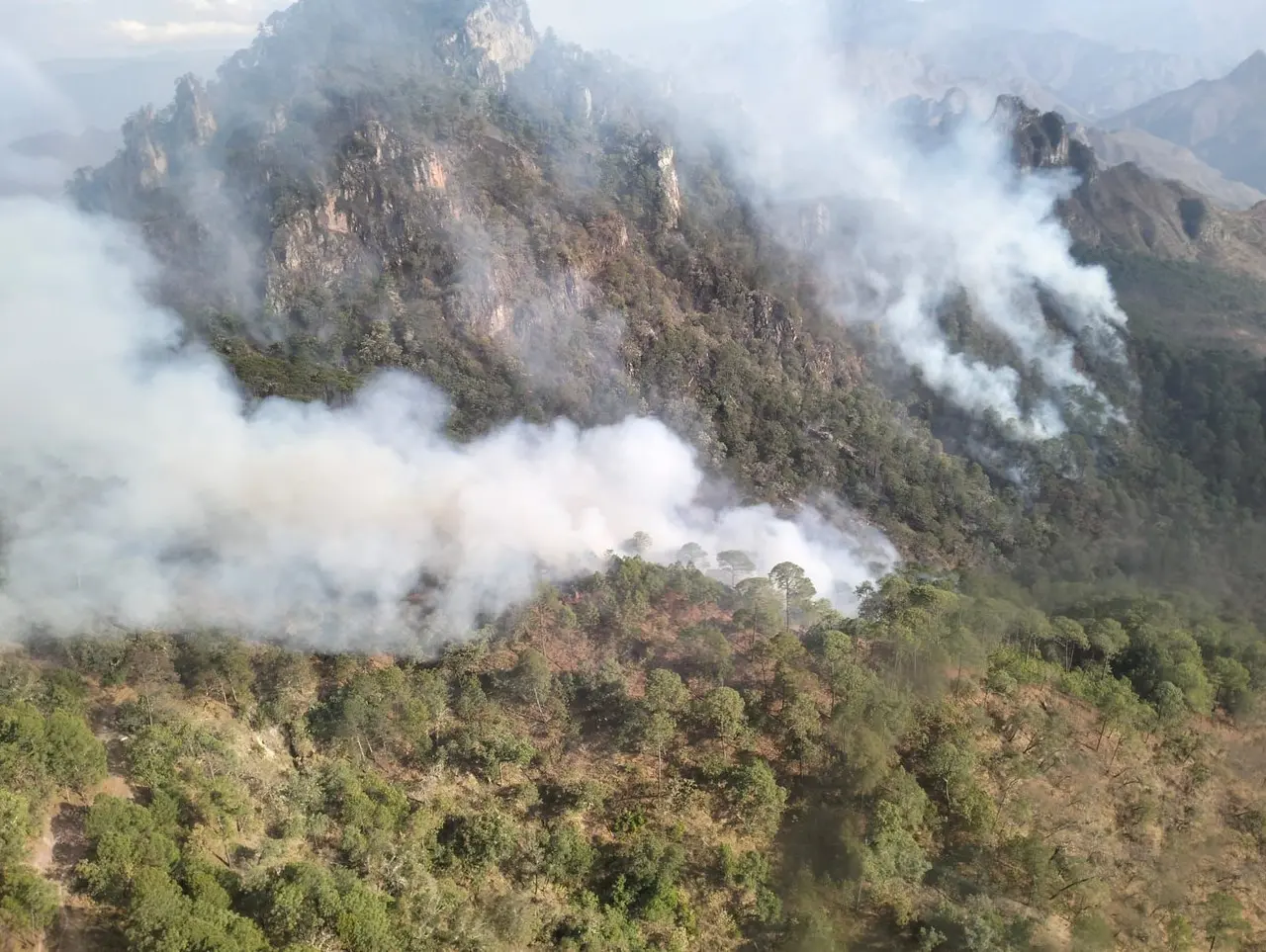 en lo que va del año se han registrado 190 incendios forestales en Durango. Foto: Cortesía.