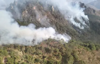 Hay 6 incendios activos en la sierra de Durango