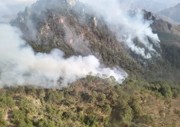 Hay 6 incendios activos en la sierra de Durango