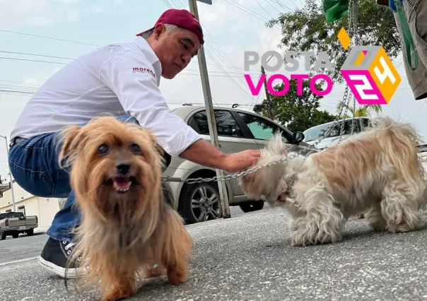 Víctor David Guerrero impulsa control para el bienestar animal en San Nicolás