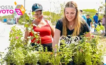 Cecilia Patrón propone descuentos en el predial por utilizar energías limpias Cecilia Patrón propone descuentos en el predial por utilizar energías limpias