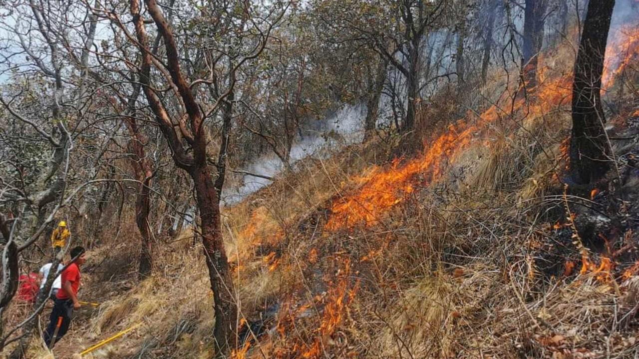 Combaten 14 incendios forestales, 10 están fuera de control en Edomex