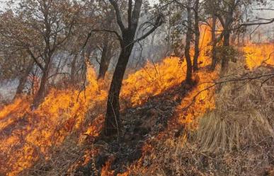 Combaten 14 incendios forestales, 10 están fuera de control en Edomex