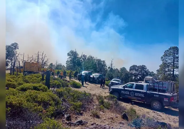 Durango es quinto lugar nacional en daño por incendios forestales