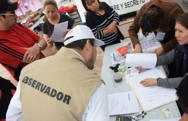 ¿Cuál es la función de un observador electoral? Te explicamos