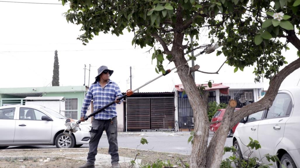 Mantenimiento en plazas y parques de Escobedo para seguridad ciudadana