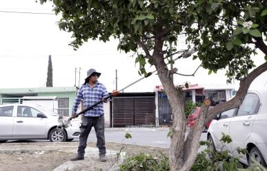 Mantenimiento en plazas y parques de Escobedo para seguridad ciudadana