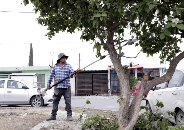 Mantenimiento en plazas y parques de Escobedo para seguridad ciudadana