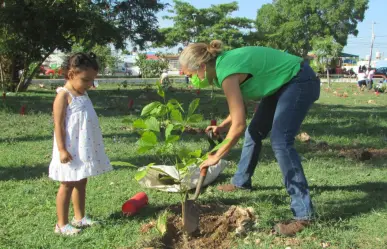 Convocan a Cruzada Forestal en Mérida: Aquí te decimos como participar