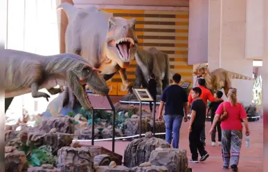 ¡Pronto se va del Bebeleche la exhibición de Dinosaurios!