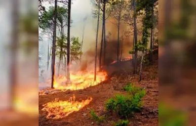 Casi 18 mil hectáreas arrasadas por el fuego en Durango