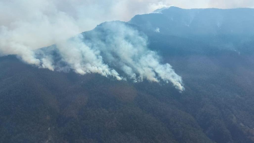 CONAFOR: Afectan 185 incendios forestales a México (VIDEO)