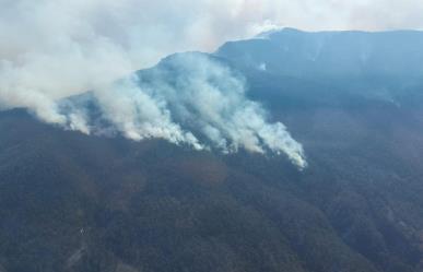 CONAFOR: Afectan 185 incendios forestales a México (VIDEO)