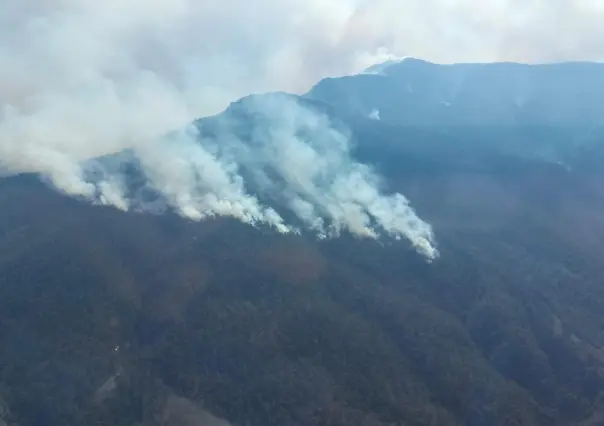 CONAFOR: Afectan 185 incendios forestales a México (VIDEO)