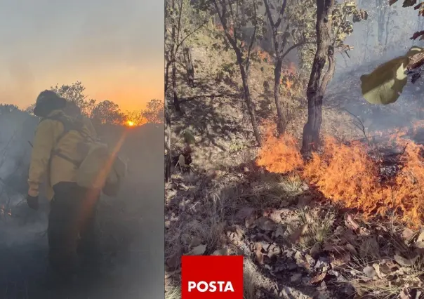 Alerta atmosférica en Jalisco por incendios activos en la región