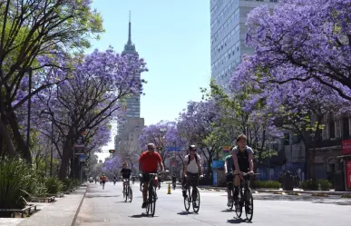 ¡Feliz cumpleaños! 17 años de ciclovía dominical en CDMX con “Muévete en bici”