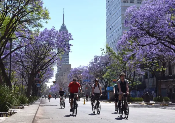 ¡Feliz cumpleaños! 17 años de ciclovía dominical en CDMX con “Muévete en bici”