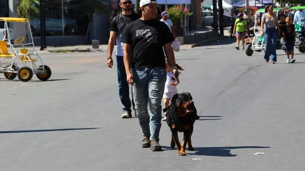 Por altas temperaturas, Salud Torreón emite recomendaciones para mascotas