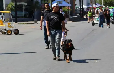 Por altas temperaturas, Salud Torreón emite recomendaciones para mascotas