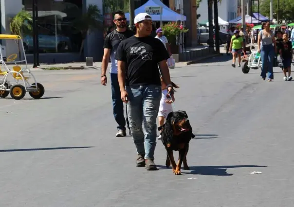 Por altas temperaturas, Salud Torreón emite recomendaciones para mascotas