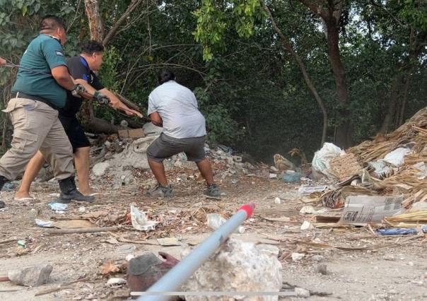 Así fue la captura y liberación de ‘Huancho’, el Cocodrilo de Progreso