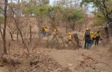 Refuerzan combate en incendio forestal en Temascaltepec