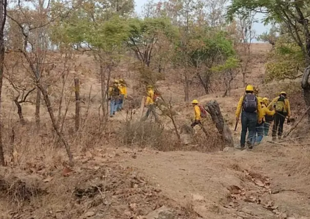 Refuerzan combate en incendio forestal en Temascaltepec