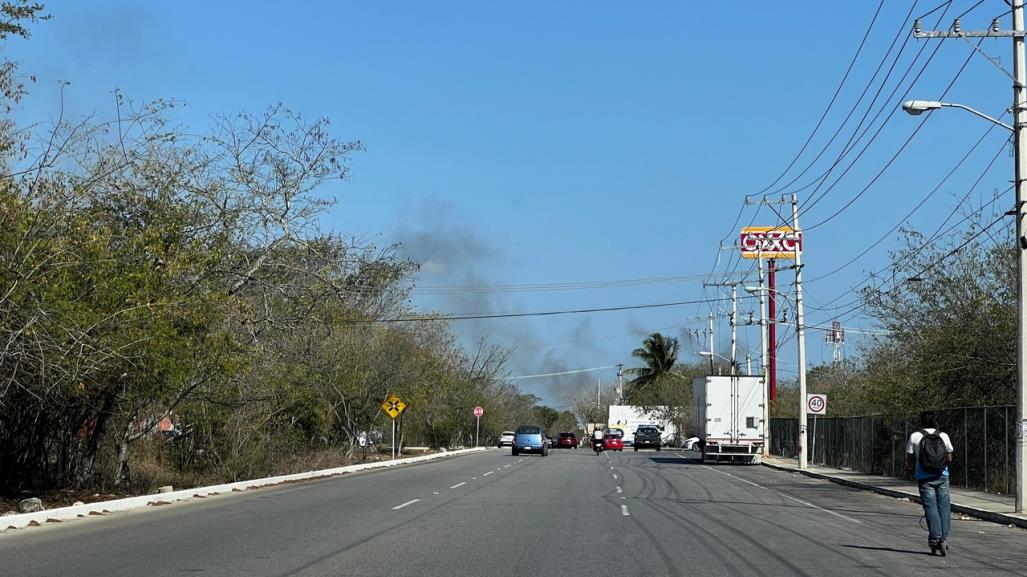 Mérida, isla de calor por falta de vegetación en áreas urbanizadas