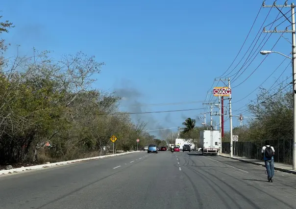 Mérida, isla de calor por falta de vegetación en áreas urbanizadas