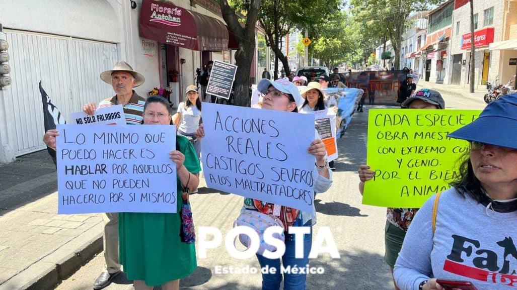 Exigen con marchan protección a los animales en Edomex